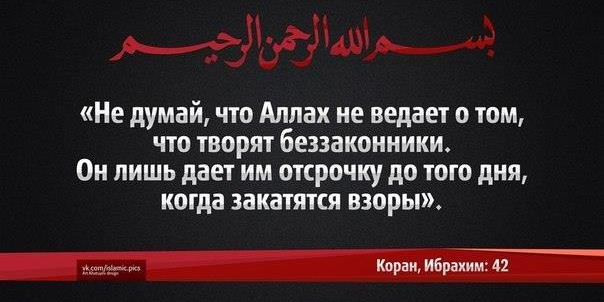 Палестина вступила в пятый день битвы под названием «Наводнение Аль-Аксы»