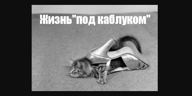 Семейная жизнь под каблуком...