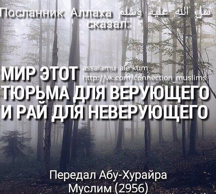 Дом или Тюрьма?
