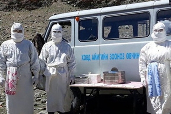 Вспышка бубонной чумы зафиксирована в Западной Монголии, на границе с Алтаем и Тувой