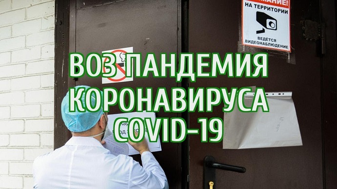 Мир готовится к глобальной эпидемии китайской болезни, на пороге пандемия