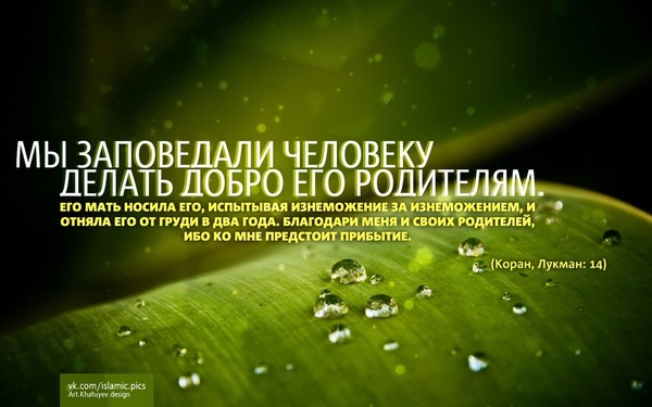 Самый большой баракат