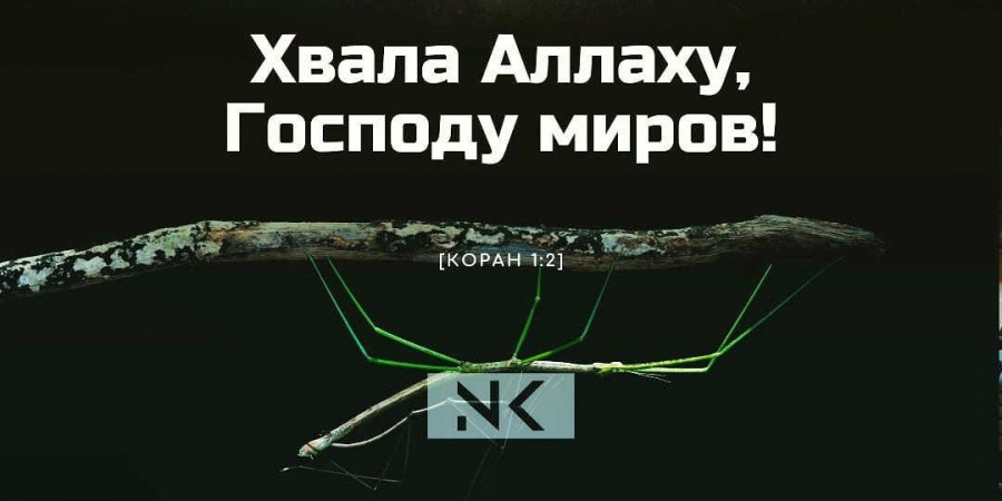 Воистину, ничто не скроется от Аллаха ни на земле, ни на небесах...