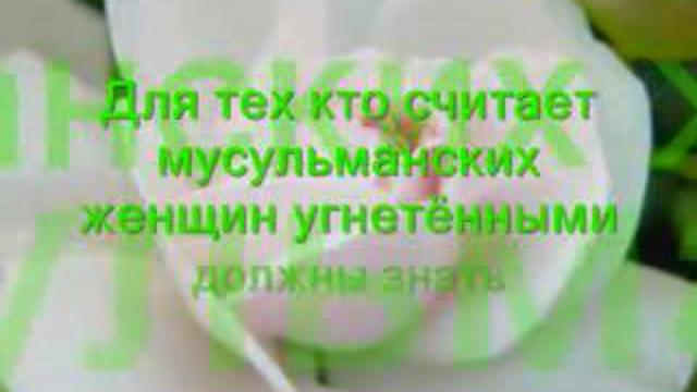 Отношение к супруге