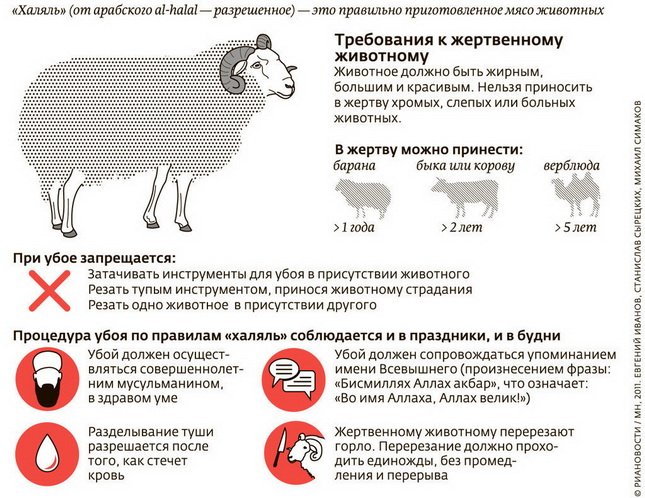 Всё о всех видах Курбана