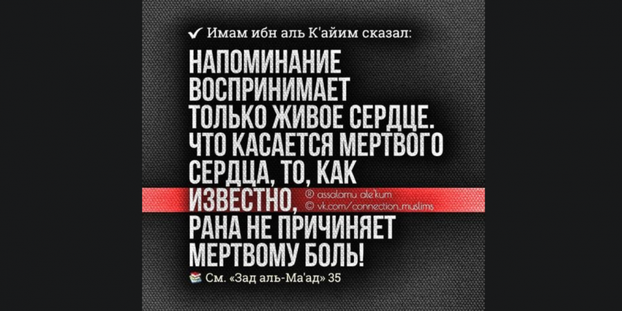 Обладателю чистого сердца Аллах даёт проницательность...