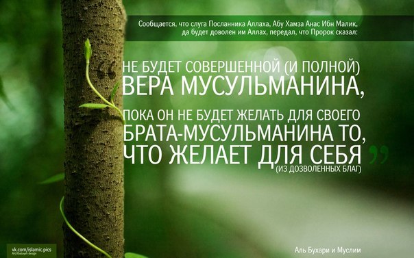 Исламские общины, пока они призывают к умеренности и единству, к братству в Исламе, составляют уникальную многоцветную палитру Уммы