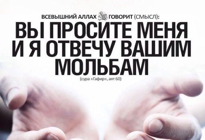 О том, кто просит прощения за грехи и невежество