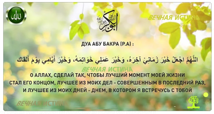Умные и глупые, сильные и слабые
