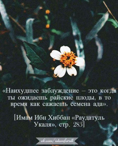 Имамы Сунны и имамы заблуждения