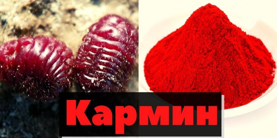 Дозволен ли пищевой краситель 