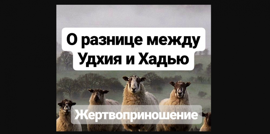 Что такое Удхия и Хадью, в чём их различие?