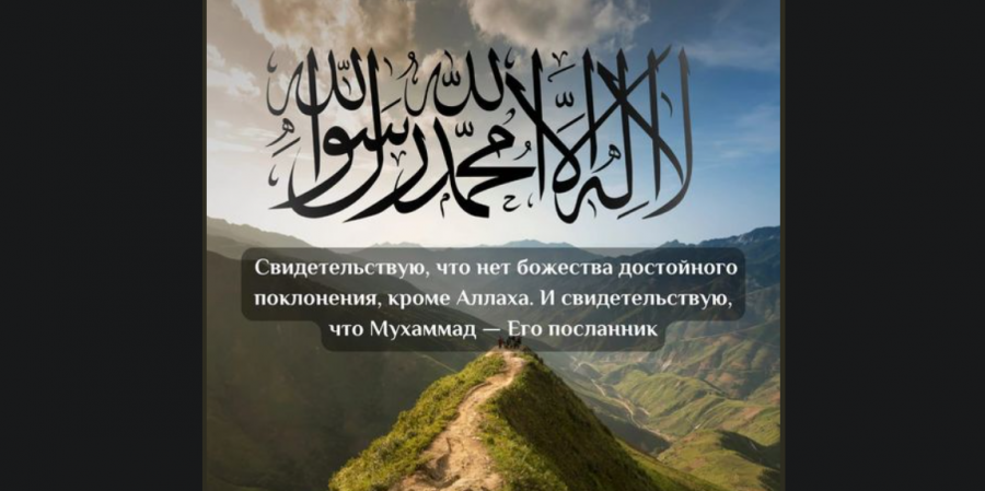 Скажи: 