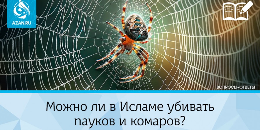 Можно ли убивать пауков? Можно ли убирать паутину в доме?