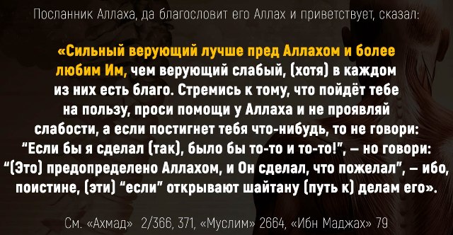 Призывает ли Ислам к бедности?