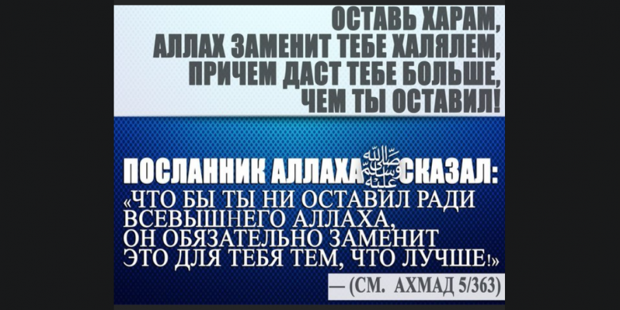 В погоне за дунья...