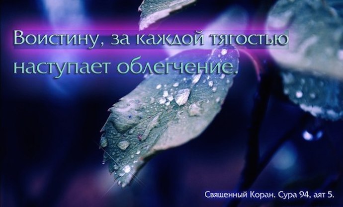 Почему добрым и искренним людям в этой жизни везет меньше, чем остальным?