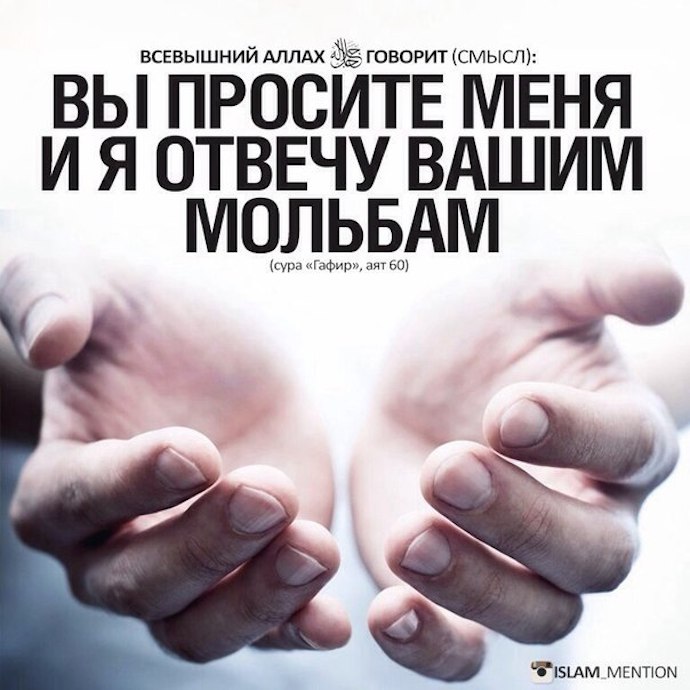 О том, кто ищет защиты от позора и наказания
