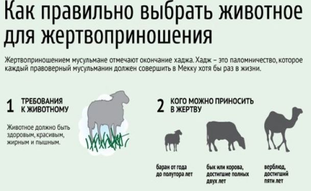 Обязательный возраст, которого должно достичь животное при жертвоприношении