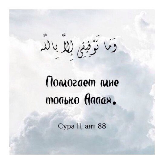 Жалоба невежды