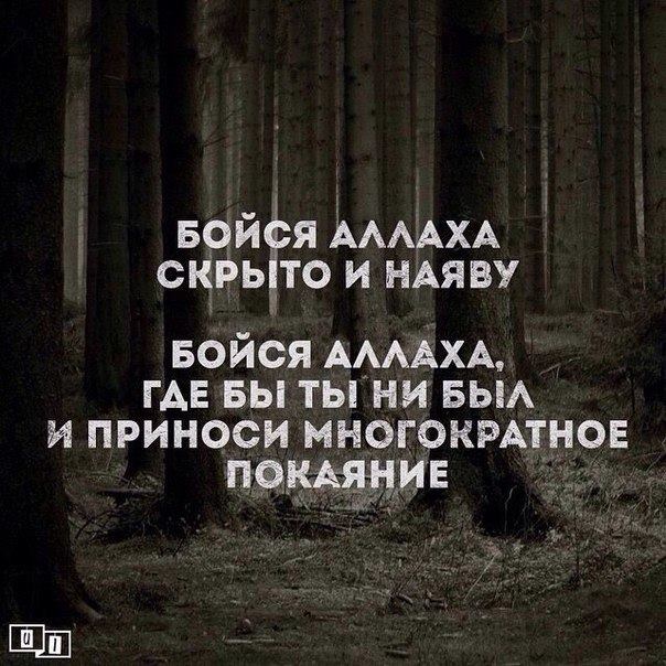Наставление верующим