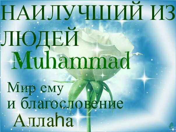 О недопустимости хулы в адрес пророка Мухаммада (Да благословит его Аллах и приветствует)