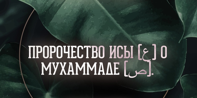 Пророк Иисус про пророка Мухаммада (мир и им благословения Аллаха)