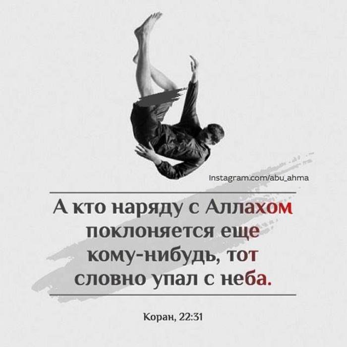 Оставайтесь ханифами и не приобщайте к Нему сотоварищей