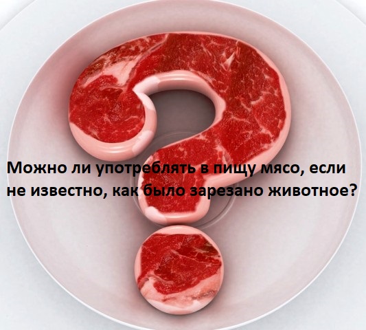 Разрешено ли употреблять мясо животных без маркировки Халяль продаваемое в магазинах