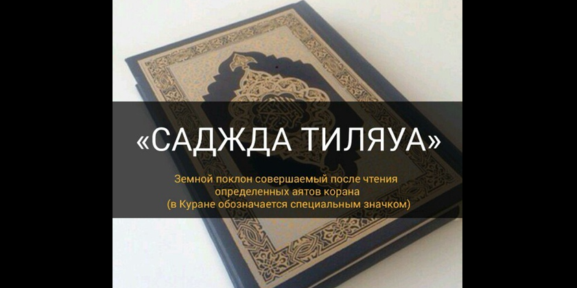 Как совершать земной поклон после чтения Корана