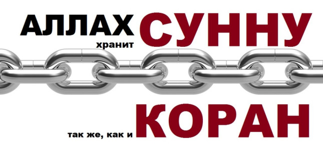 Сунна – она как ковчег Нуха (Мир ему)