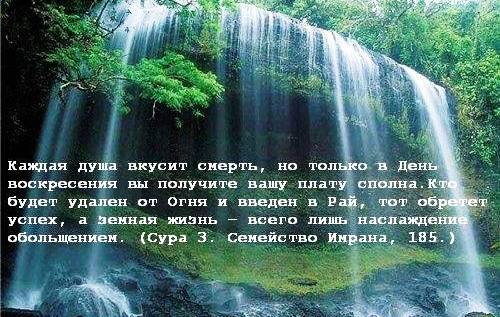 О том, что не нарушает омовения