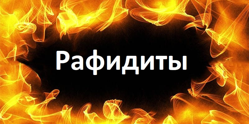 Ложь и бешенство рафидитов