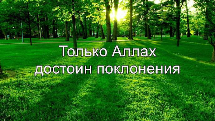 Не завышай свои ожидания