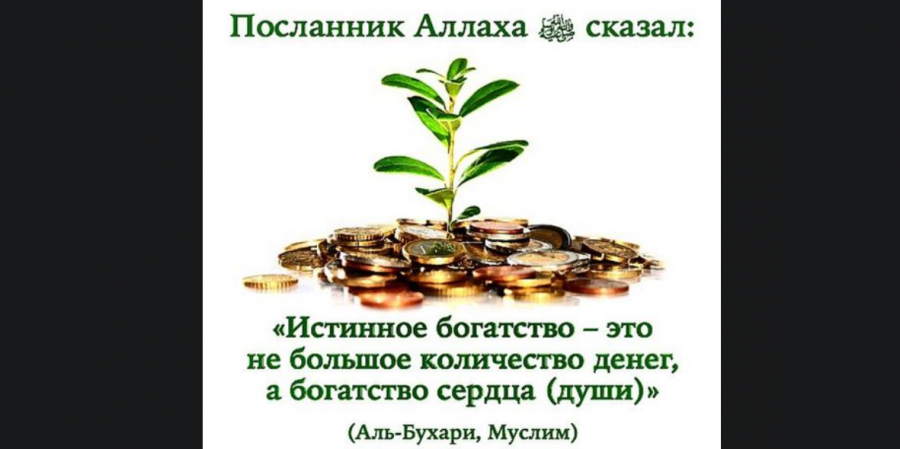Зачем нужно богатство