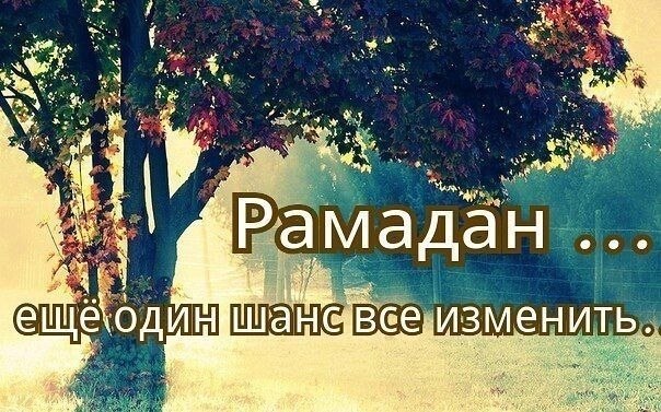 Рамадан - время действовать