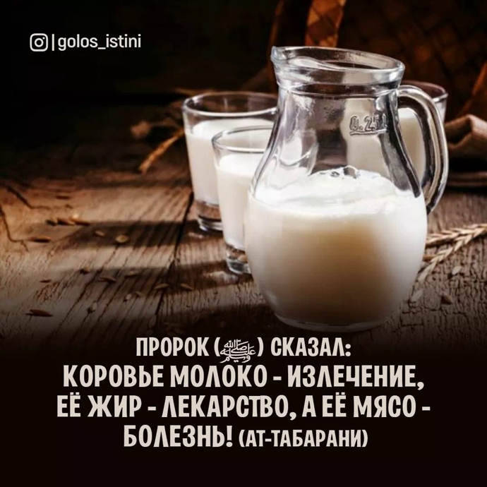 О вреде мяса говядины