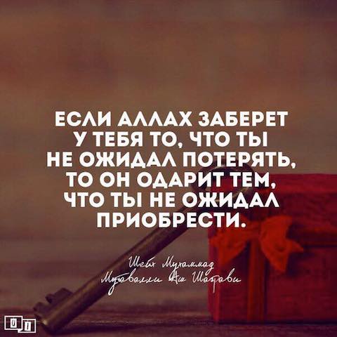 Кто они, плывущие против течения?